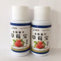 中国制造商天然有机肥料草莓植物液体