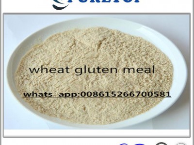 小麦蛋白粉，用于动物饲料和鸡饲料。