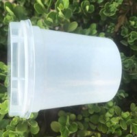 200ml PP透明一次性塑料饮料杯，带有PP透明注射盖