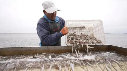 金秋龍江慶豐收，魚米滿倉振三農——寫在中國農民豐收節