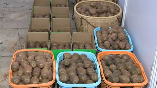 河源鄉(xiāng)村振興農(nóng)產(chǎn)品展銷會(huì)開幕 300多種特色農(nóng)產(chǎn)品，共繪鄉(xiāng)村新畫卷