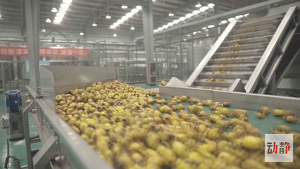 深耕農(nóng)產(chǎn)品深加工，培育高成長(zhǎng)企業(yè) 推動(dòng)生態(tài)特色食品產(chǎn)業(yè)轉(zhuǎn)型升級(jí)