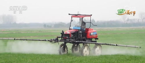 算力織網(wǎng)，智繪“三農(nóng)”新藍(lán)圖 科技賦能農(nóng)產(chǎn)品生產(chǎn)向優(yōu)、向綠、向新