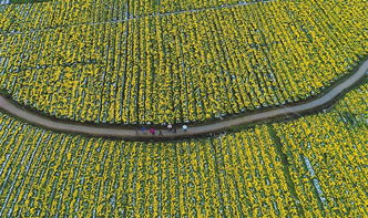 贛州農(nóng)業(yè)產(chǎn)業(yè)扶貧 水產(chǎn)養(yǎng)殖奏響攻堅(jiān)曲，扶出好“錢”景