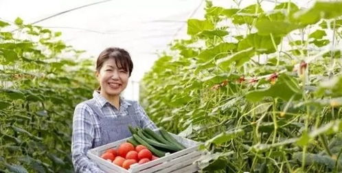 三產(chǎn)融合，共贏未來(lái) 如何將休閑農(nóng)業(yè)、鄉(xiāng)村旅游與有機(jī)農(nóng)產(chǎn)品種植打造成最佳營(yíng)銷組合