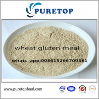 小麦蛋白粉，用于动物饲料和鸡饲料。