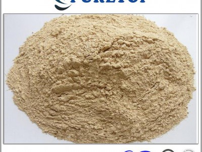 Wheat Gluten Powder /wheat Gluten Flour For Sale - Feed Grade With High Protein