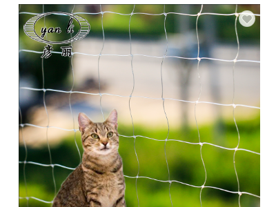 阳台猫用安全网配猫用防护网