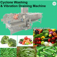 蔬菜清洗机和沥干机/沙拉/IQF
