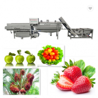 草莓清洗机水果清洗机水果漂洗机食品机械