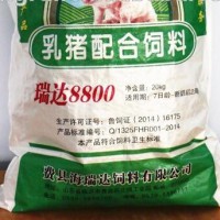 中国工厂编织聚丙烯袋