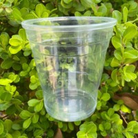 10oz/285ml PP透明一次性塑料果汁/咖啡杯