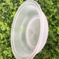 注射850ml PP透明一次性塑料汤/面/沙拉包装碗