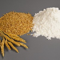 小麦蛋白