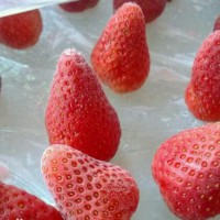 冻干草莓块