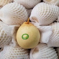 中国新鲜柠檬